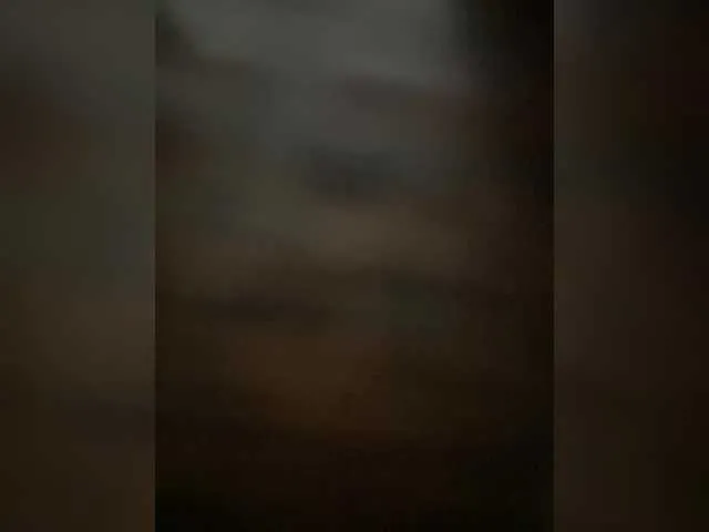 achilessynpilea Image 7