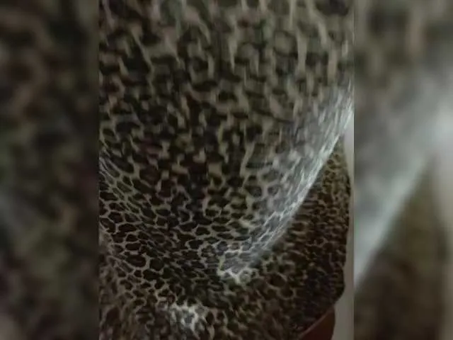 Laskikakvskaz Image 18