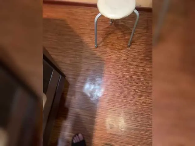 Maikl69Mila1 Profile Image