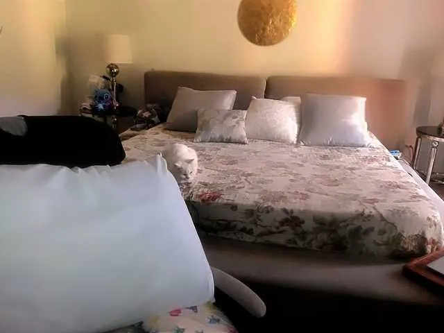 SofiaTequila Image 11