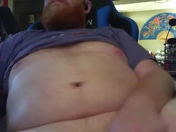 red_sea_bear Image 5