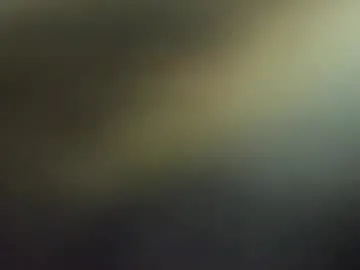 sharpay_evans Image 8