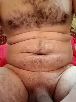 Arabian's Thumb Image