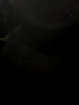 I_SHO0106's Thumb Image